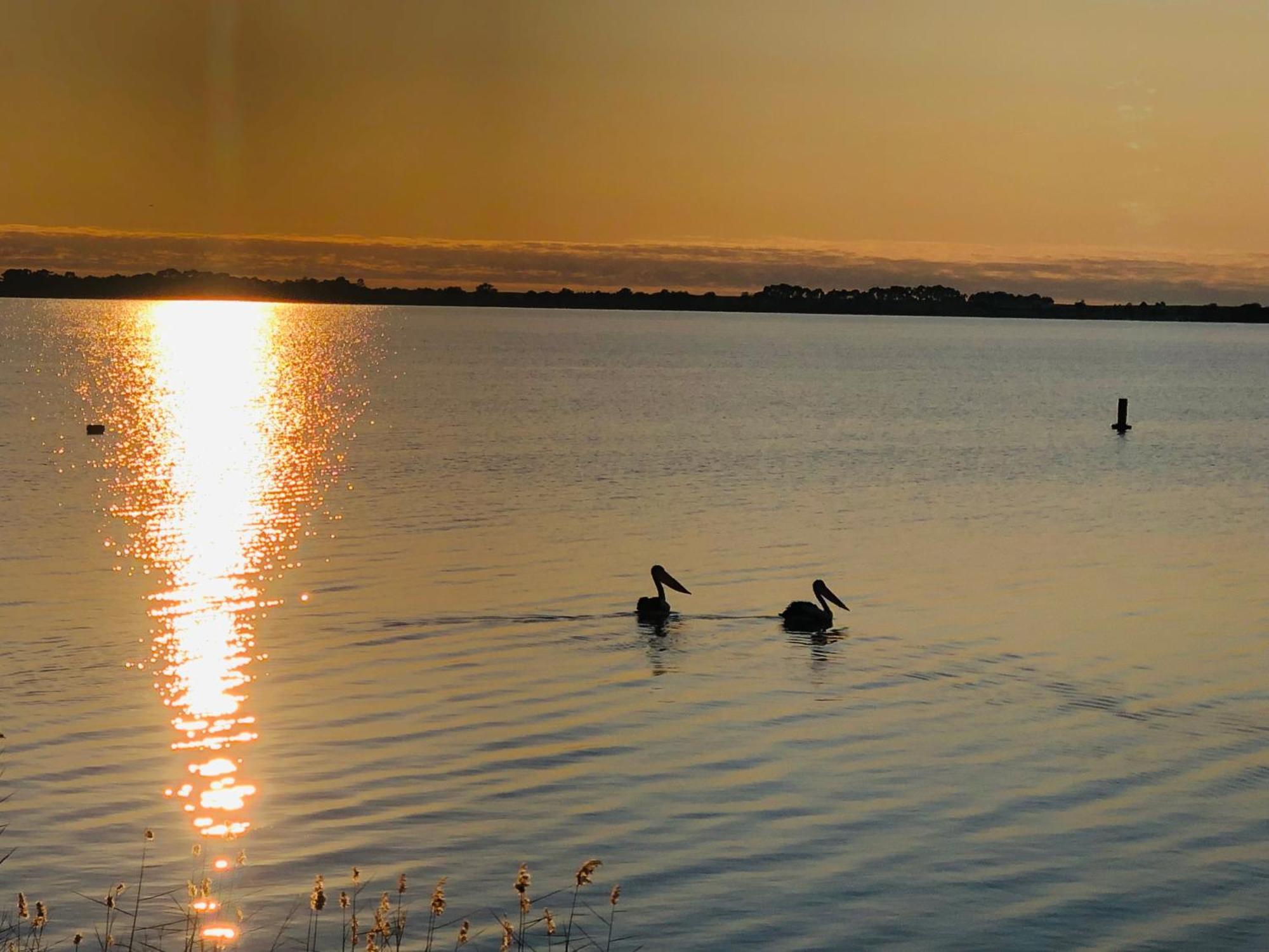 Lake Boga Caravan Park 외부 사진